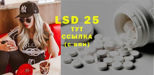 индика Беломорск
