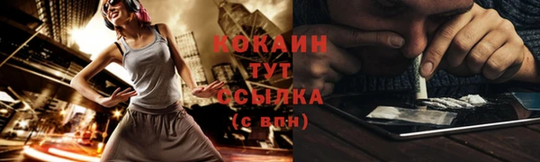 индика Беломорск