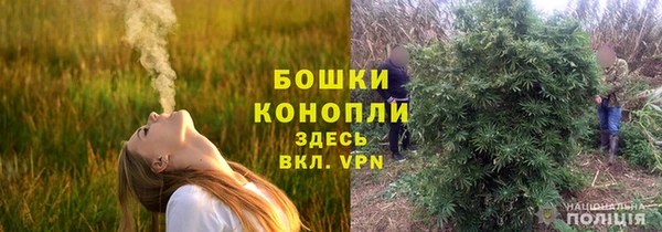 индика Беломорск