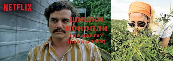 индика Беломорск