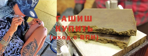 индика Беломорск