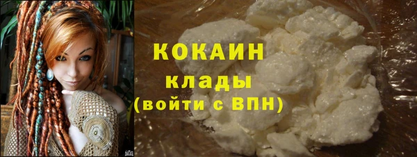 индика Беломорск