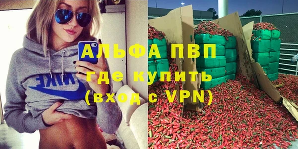 индика Беломорск