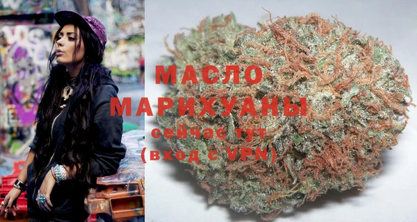 индика Беломорск