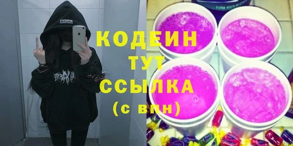 индика Беломорск