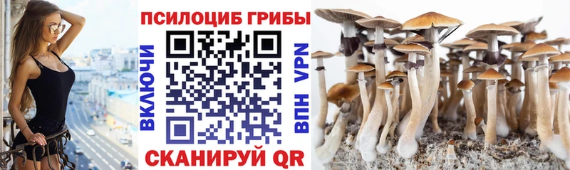 Псилоцибиновые грибы прущие грибы  купить наркотик  omg ONION  Маркс 