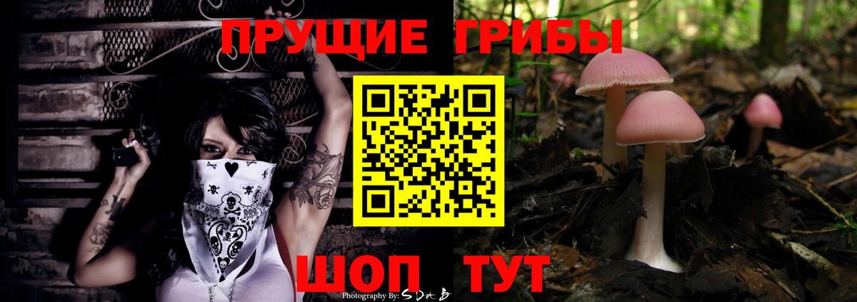 Псилоцибиновые грибы Cubensis Маркс
